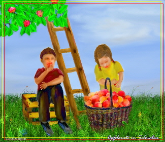 apfelkindsum11web apfelkindsum11web