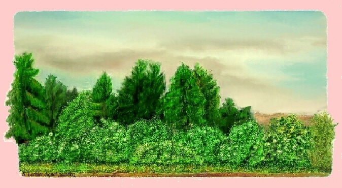hecke78xy hecke78xy